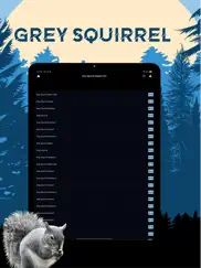 gray squirrel magnet calls ipad bildschirmfoto 2