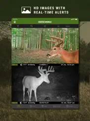 moultrie mobile wireless ipad images 3