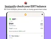 providers: ebt, mobile banking ipad images 2