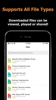blaze : browser & file manager iphone images 3