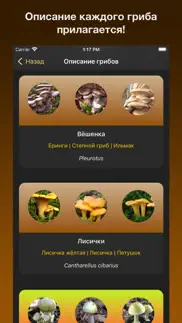 Знай лесные грибы! айфон картинки 4