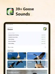hunting calls for goose ipad images 1