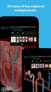 human anatomy atlas 2023 iphone images 2