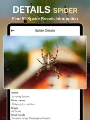 spiders identifier by photo id ipad resimleri 4