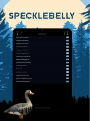 specklebelly goose magnet ipad images 1