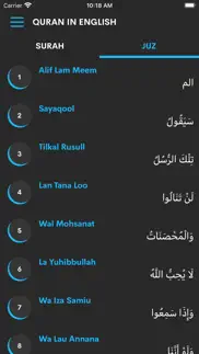 the quran in english iphone images 3