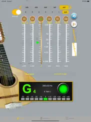 mandolintuner - tuner mandolin ipad images 2