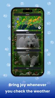 weather kitty - cute cat radar iphone resimleri 4