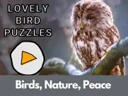 lovely bird puzzles ipad images 1