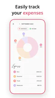 budget planner app - fleur iphone images 2