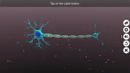 learn neuron iphone images 2