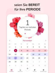 mein menstruations-kalender ipad bildschirmfoto 1