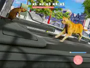 my pet cat island simulator 3d ipad images 3