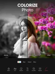 color pop: photo changer ipad images 4