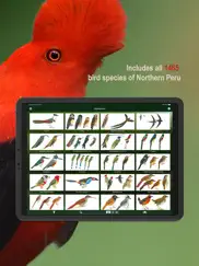 all birds northern peru ipad images 2