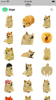 such doge iphone images 3