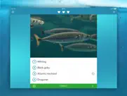 fishes pro - field guide iPad Captures Décran 4