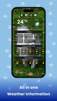 weather kitty - cute cat radar iphone images 3