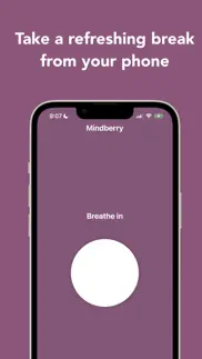 mindberry iPhone Captures Décran 2