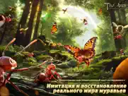 the ants: underground kingdom айпад изображения 4
