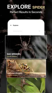spiders identifier by photo id iphone resimleri 3