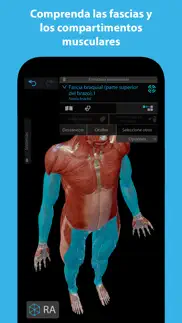 músculos & kinesiología iphone capturas de pantalla 4