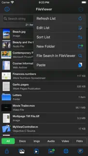 fileviewer usb for iphone iphone capturas de pantalla 3