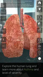 insight lung iphone resimleri 4