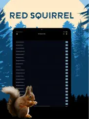 red squirrel magnet calls ipad images 1