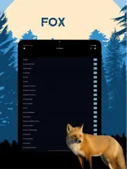 fox magnet - fox calls ipad images 1