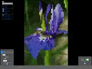 colorhints mosaic iPad Captures Décran 2