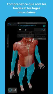 muscles & kinésiologie iPhone Captures Décran 4