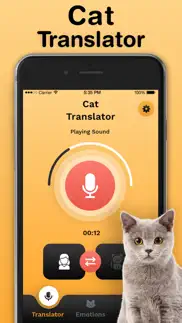 cat translator iphone images 1