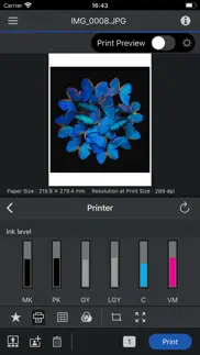 epson print layout iPhone Captures Décran 2