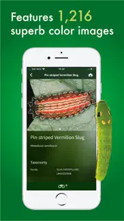 caterpillar id usa east coast iphone images 3