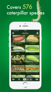 caterpillar id usa east coast iPhone Captures Décran 2