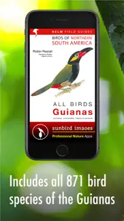all birds guianas iphone images 1