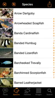 marine fish maldives iphone images 3