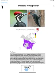 bird field guide for kids ipad images 4