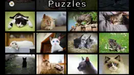 adorable cat puzzles iphone images 3