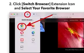 switch browser for safari iphone bildschirmfoto 3