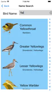 bird field guide for kids iphone images 2