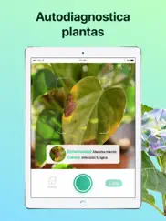picturethis - guía de plantas ipad capturas de pantalla 4