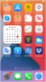 widgetcal-calendar widget iphone resimleri 3