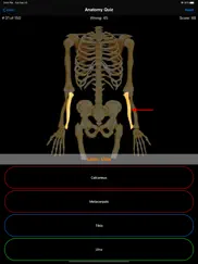 anatomy quiz ipad images 4