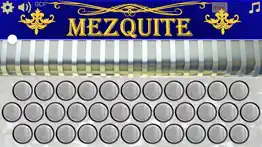 mezquite diatonic accordion iphone images 3