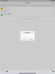 unzip or zip any files ipad images 2
