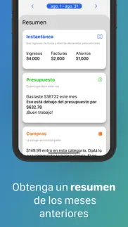 money flow - registrar gastos iphone capturas de pantalla 4