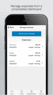 paychex benefit account iphone images 3