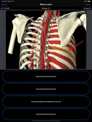 anatomy spine quiz iPad Captures Décran 2